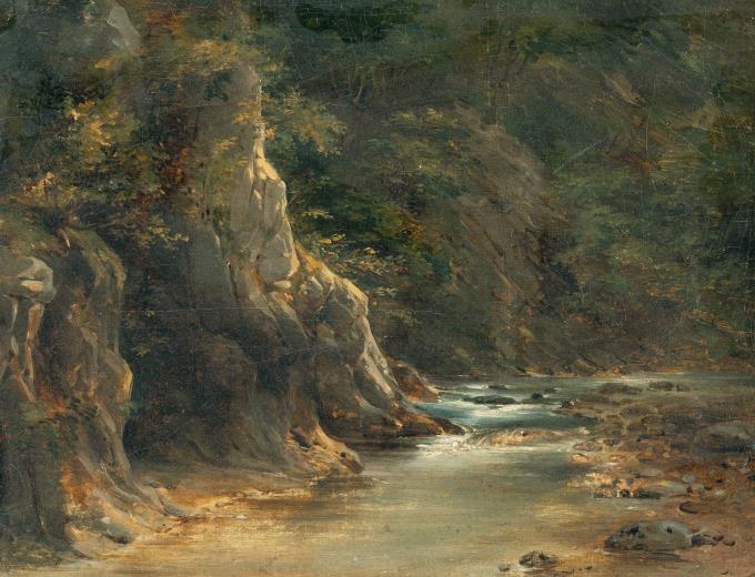 Waldlandschaft mit Gewässer