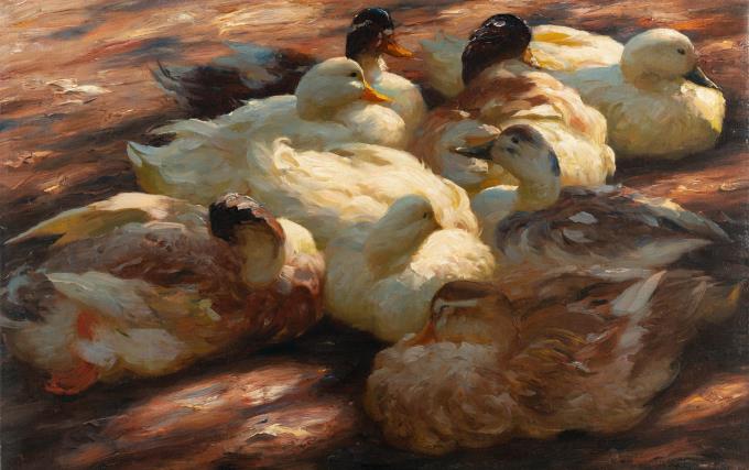 Ruhende Enten