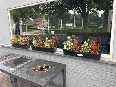 2 bloempotten en circa 9 bloembakken – kavel bij VH Auctions