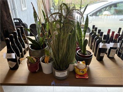 Partij planten in pot – kavel bij VH Auctions