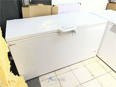 Vrieskist DANCOLD – kavel bij VH Auctions