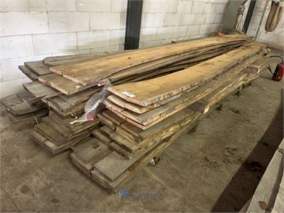 Plm 45 verzaagde boomstammen rode beuk – kavel bij VH Auctions