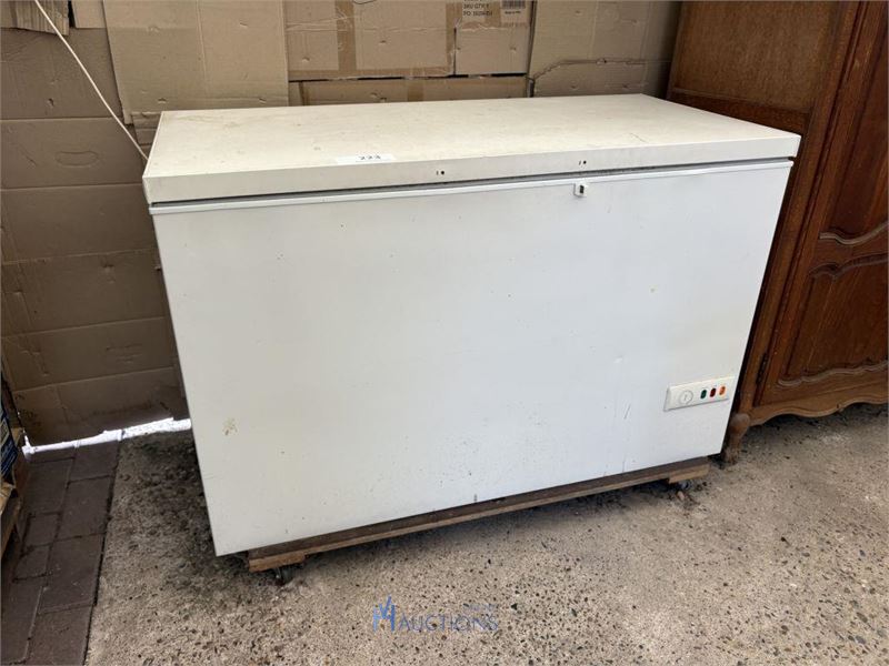 Diepvrieskoffer – kavel bij VH Auctions