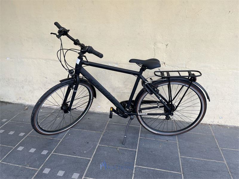 Hybride fiets GRANVILLE Smart 21 Man – kavel bij VH Auctions