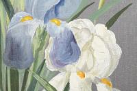 Alletson, J.: Lilien