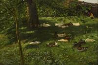 Monogrammist "HM": Enten im Sonnenschein