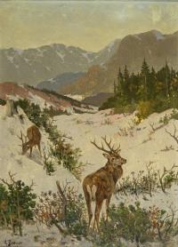 Berger, Gustav: Rehwild im Schnee