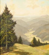 Dörr, Ferdinand: Sonniger Schwarzwald