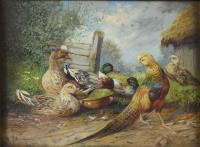 Enten nahe dem Stall