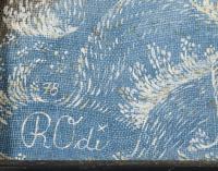 Rodi, Heleena: Wildwasserfahrt