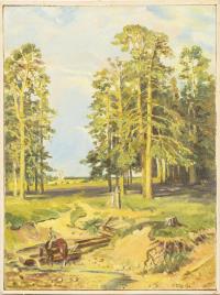 Sonnige Landschaft mit Quelle