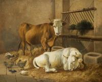 Kühe im Stall-Interieur