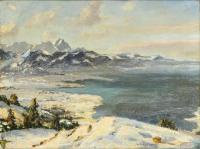 Bürgers, Felix: Bodensee