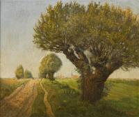 Räde: Sonnige Landschaft mit Kopfweiden