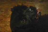 Reichert, Carl: Jagdszene mit Hund und Fuchs im Winter