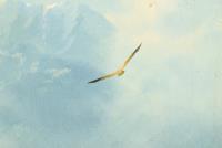 Müller, Moritz: Rothirsch