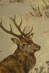 Berger, Gustav: Rehwild im Schnee