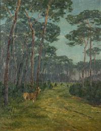 Waldlandschaft mit Hirsch