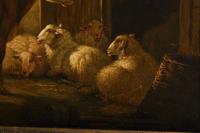 Rind und Schafe vor dem Stall