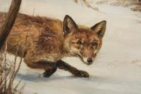 Fuchs im Schnee