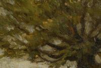 Räde: Sonnige Landschaft mit Kopfweiden