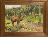 Lorenz, Willy: Hirsche am Waldrand