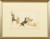 Lucas, August: Studie Hundemeute