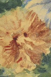 Arnim, Bettina Encke von: Blumenstillleben