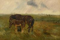 8789 Christiansen, Niels: Pferde