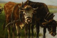 Farmer's wife with cattle