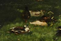 Monogrammist "HM": Enten im Sonnenschein