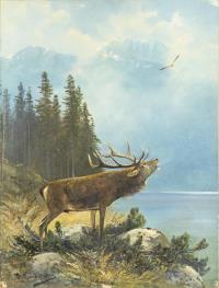 Müller, Moritz: Rothirsch