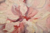 Stauffer: Pfingstrosen