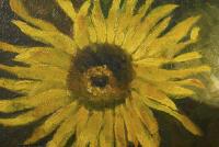 Monogrammist "MK": Stillleben