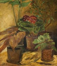 Stilleben mit verschiedenen Blumenstöcken