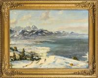 Bürgers, Felix: Bodensee