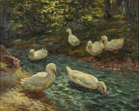 Ahrweiler, Willy: Enten