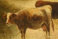 Schottische Landschaft mit Viehherde