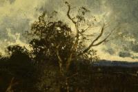 Wenglein, Moorlandschaft mit Kühen