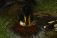 Monogrammist "HM": Enten im Sonnenschein