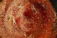 Undeutlich signiert: Blumenstillleben