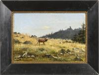 Herrmann, H.: Hirsch am Waldrand