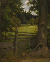 Willroider, Ludwig: Weide am Waldrand