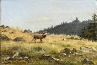 Herrmann, H.: Hirsch am Waldrand