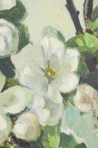 Monogrammist "MW": Blühende Apfelzweige