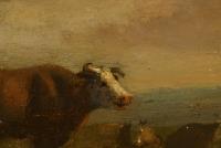 Strij: Bauer mit Viehherde