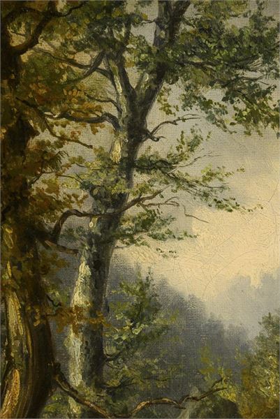 2562_1.jpg