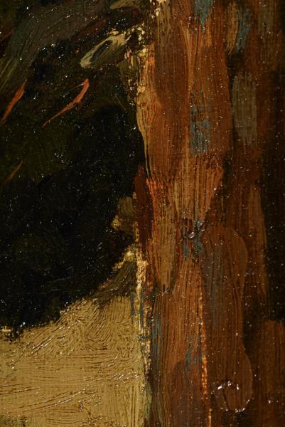 1569_1.jpg