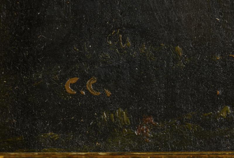 2998_333.jpg