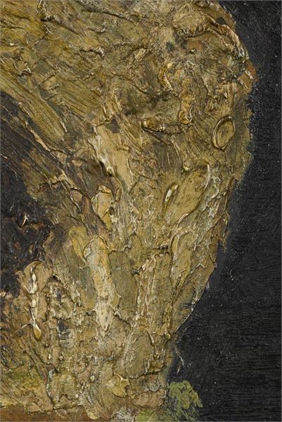 1354_1.jpg